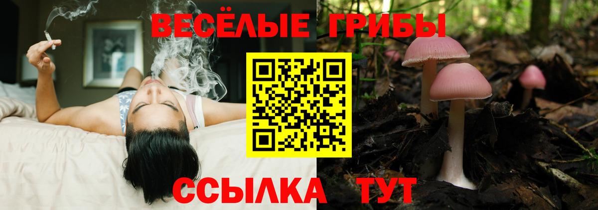  Кокаин Сергиев Посад